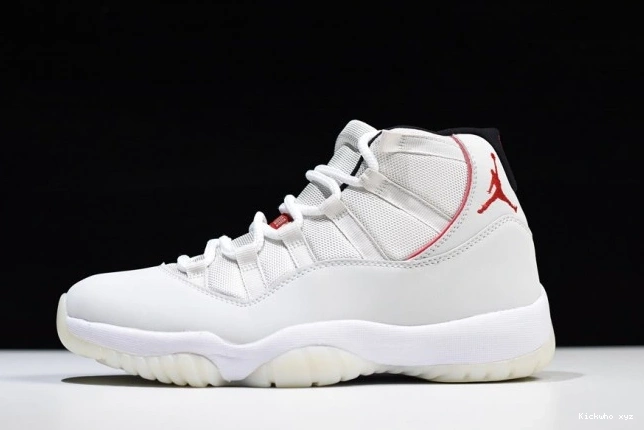 Air Retro Jordan Tint Platinum 378037-016 11 0612
